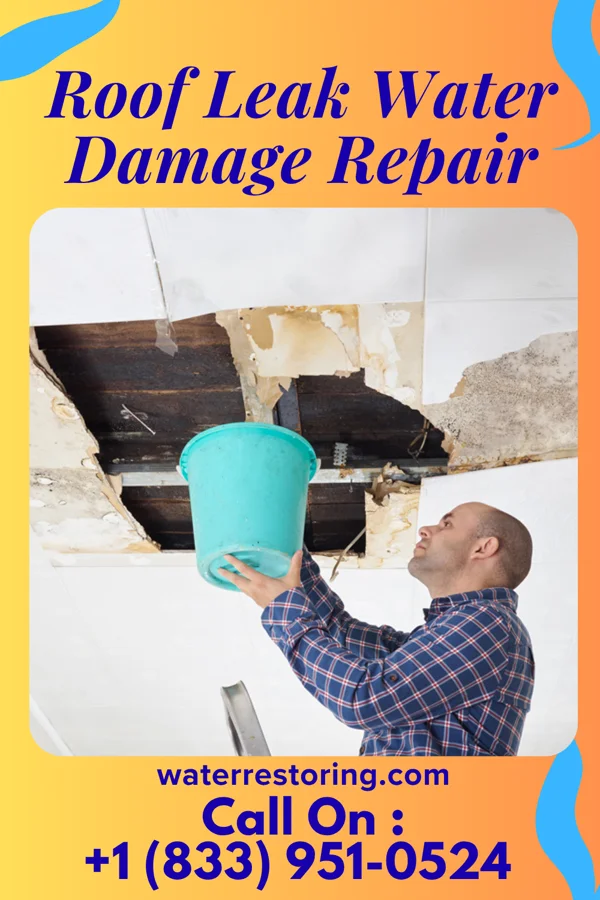 Roof Leak Water Damage Repair in Speculator, NY