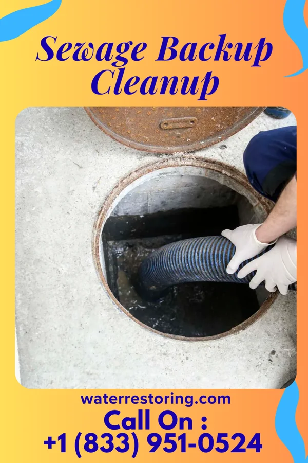 Sewage Backup Cleanup in Speculator, NY
