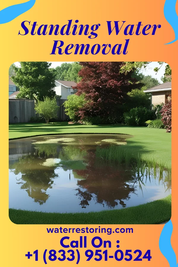 Standing Water Removal in Speculator, NY